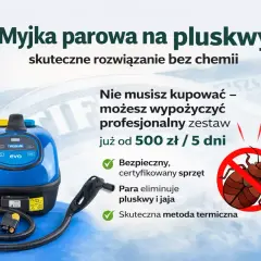 Myjka parowa na pluskwy: Jaką wybrać i jak skutecznie użyć?