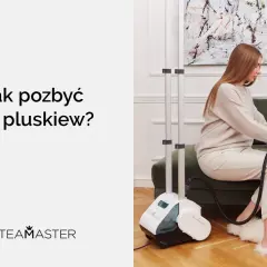 Parownica na pluskwy: Ekspert radzi, jak skutecznie je wytępić!