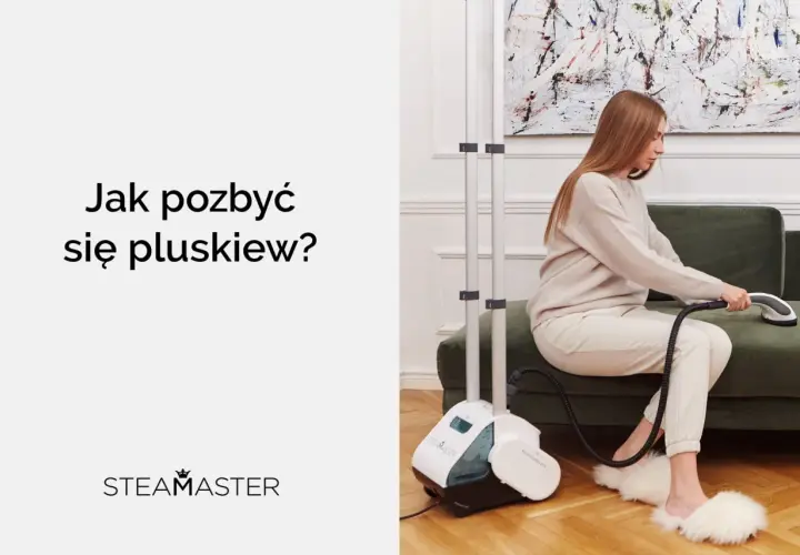 Parownica na pluskwy: Ekspert radzi, jak skutecznie je wytępić!