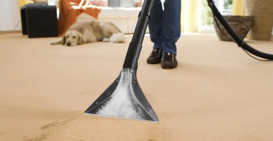 Jak stosować karcher rm 770 do skutecznego czyszczenia dywanów?